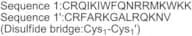 PKC β pseudosubstrate