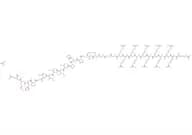 NFAT inhibitor, Cell Permeable aceate