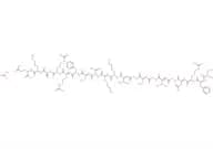 Neuropeptide S (Rat) acetate