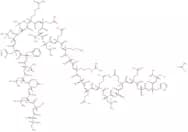 CRF (6-33) acetate(120066-38-8 free base)