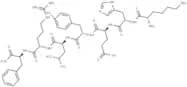 AF2 Neuropeptide