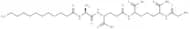 Pimelautide