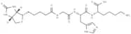 Biotinoyl tripeptide-1