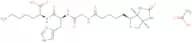 Biotinoyl tripeptide-1 Acetate