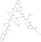 PHYD protein, Arabidopsis
