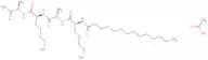 Myristoyl Tetrapeptide-12 Acetate