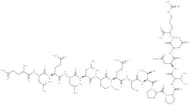 Fusion glycoprotein (92-106)