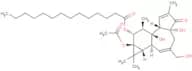 Phorbol 12-myristate 13-acetate