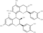 Procyanidin B1