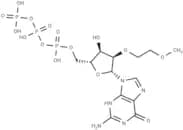 2'-O-MOE-GTP