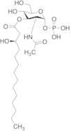 (R)​-2-​(Acetylamino)​-​2-​deoxy-α-​D-​glucopyranose 1-​(Dihydrogen phosphate) 3-​(3-​Hydroxytetra…