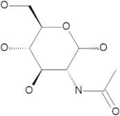 N-Acetyl-D-glucosamine