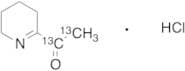 2-Acetyl-3,4,5,6-tetrahydropyridine-13C2 Hydrochloride (Technical Grade)