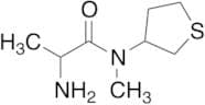 2-Amino-N-methyl-N-(thiolan-3-yl)propanamide