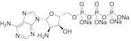 2'-Amino-2'-deoxyadenosine-5'-triphosphate Sodium Salt