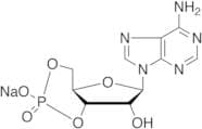 Adenosine-3’,5’-cyclic Monophosphate