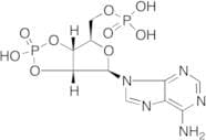 Adenosine Cyclic 2',3'-Phosphate 5'-Phosphate