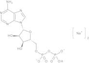 Adenosine 5'-Diphosphate Disodium Salt