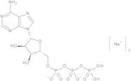 Adenosine 5'-Triphosphate Disodium Salt