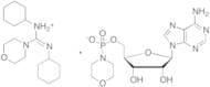 Adenosine 5'-Monophosphomorpholidate 4-Morpholine-N,N'-dicyclohexylcarboxamidine salt