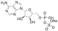 5'-Adenylyl Sulfate Sodium Salt