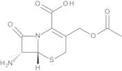 7-Aminocephalosporanic Acid