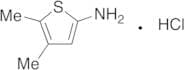 2-Amino-4,5-dimethylthiophene Hydrochloride