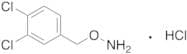 4-[(Aminooxy)methyl]-1,2-dichlorobenzenehydrochloride