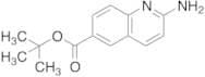 2-Aminoquinoline-6-carboxylic Acid tert-Butyl ester