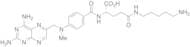 N-(5-Aminopentyl) Methotrexate Amide