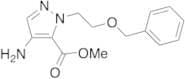 4-Amino-1-[2-(phenylmethoxy)ethyl]-1H-pyrazole-5-carboxylic Acid Methyl Ester