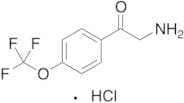 2-Amino-1-(4-trifluoromethoxyphenyl)ethanone Hydrochloride