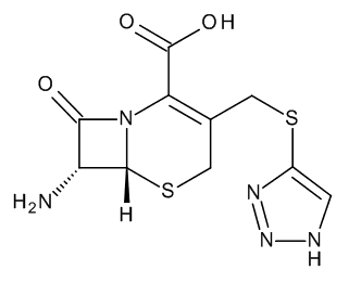 7-Amino-3-(1,2,3-triazol-5-ylthiomethyl)-3-cephem-4-carboxylic Acid
