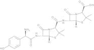 APA Amoxicillin Amide