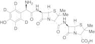APA Amoxicillin Amide-d4