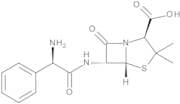 Ampicillin