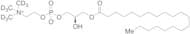 1-Arachidoyl-sn-glycero-3-phosphocholine-d9