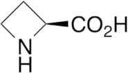 L-Azetidine-2-carboxylic Acid