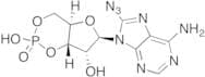 8-Azidoadenosine 3':5'-Cyclic Monophosphate