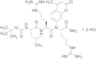 Boc-Leu-Arg-Arg-AMC·2 HCl