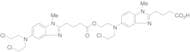 Bendamustine Dimer Impurity