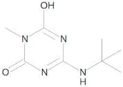 6-(tert-Butylamino)-3-methyl-1,3,5-triazine-2,4(1H,3H)-dione