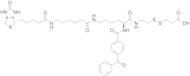 2-{N2-[Nα-Benzoylbenzoicamido-N6-6-biotinamidocaproyl]lysinylamido}ethyl-2’-carboxylethyl Disulfide