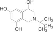 2-tert-Butyl-1,2,3,4-tetrahydro-isoquinoline-4,6,8-triol