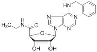 N6-Benzyl-5’-ethylcarboxamido Adenosine