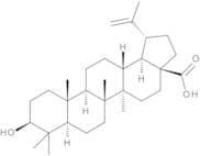 Betulinic Acid