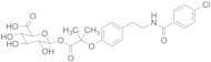 Bezafibrate 1-O-β-Glucuronide
