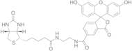 Biotin-4-Fluorescein