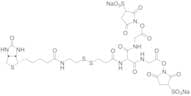 5-[2-Biotinylamidoethyl]-dithiopropionamido]-3,7-diaza-4,6-diketononanoic Acid Bis-N-sulfosuccinim…