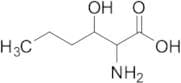 2-Amino-3-hydroxyhexanoic Acid